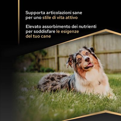 Favorisce articolazioni sane per uno stile di vita attivo. Elevato assorbimento di nutrienti per soddisfare le esigenze del tuo cane.