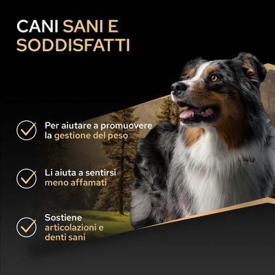 CANI SANI E SODDISFATTI. Per il sostegno nella gestione del peso, meno sensazione di fame e articolazioni e denti sani.