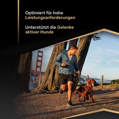 Optimiert für hohe Leistungsanforderungen. Unterstützt die Gelenke aktiver Hunde.