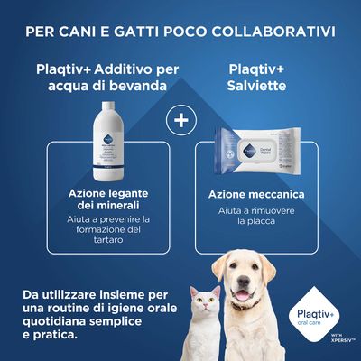 Plaqtiv+ Additivo per acqua potabile e Plaqtiv+ salviette dental. Insieme per una semplice igiene orale quotidiana, lega i minerali contro il tartaro, agisce meccanicamente contro la placca.