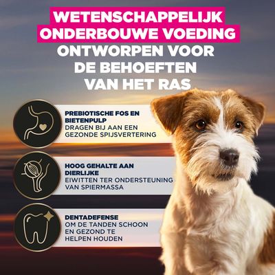 Wetenschappelijk onderbouwde voeding, ontwikkeld voor de behoeften van het ras. Bevat prebiotische FOS en bietenpulp, een hoog aandeel dierlijk eiwit, Dentadefense.