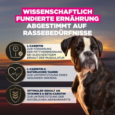 Wissenschaftlich fundierte Ernährung, abgestimmt auf Rassebedürfnisse. L-Carnitin für Fettverbrennung und Muskelerhalt, Taurin für Herz, Vitamin E & Beta-Carotin für Abwehrkräfte.