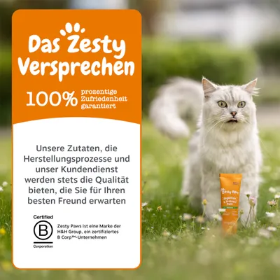 De Zesty-belofte: 100% tevredenheid gegarandeerd. Ingrediënten, processen en klantenservice leveren altijd de verwachte kwaliteit. B Corp gecertificeerd door H&H Group. De Zesty-belofte: 100% tevredenheid gegarandeerd. Ingrediënten, processen en klantenservice leveren altijd de verwachte kwaliteit. B Corp gecertificeerd door H&H Group.