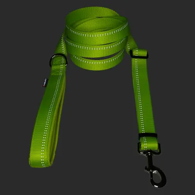 Green adjustable lead with reflective stitching and metal carabiner, textile material, small label with the inscription 'Wolters'.