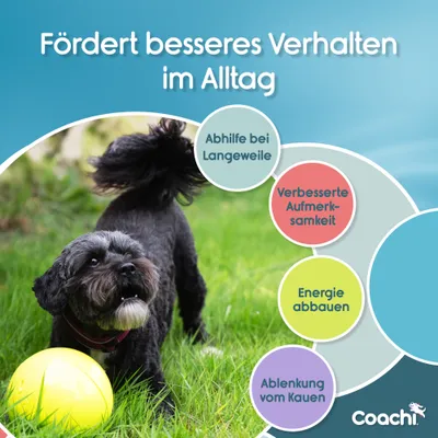 Fördert besseres Verhalten im Alltag: Abhilfe bei Langeweile, verbesserte Aufmerksamkeit, Energie abbauen, Ablenkung vom Kauen. Coachi.