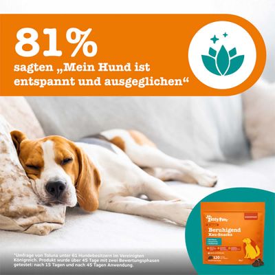 81% sagten: 'Mein Hund ist entspannt und ausgeglichen'. Zesty Paws Beruhigend Kau-Snacks. Umfrage mit 61 Hundebesitzern, getestet nach 15 und 45 Tagen Anwendung.