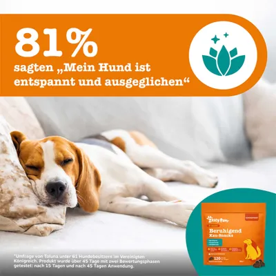 81 % ont déclaré : « Mon chien est détendu et équilibré ». Zesty Paws Friandises à mâcher apaisantes. Enquête menée auprès de 61 propriétaires de chiens, testée après 15 et 45 jours d’utilisation.
