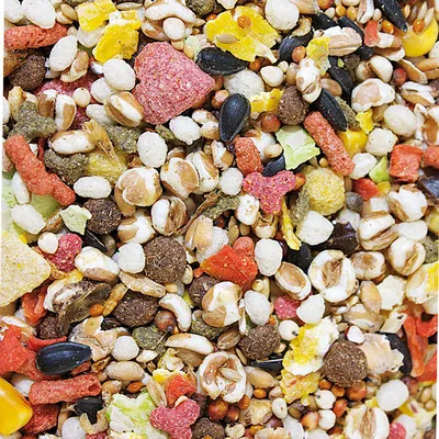 Mixed small animal food with visible seeds, grains, pellets, flakes and dried vegetables in various colours and shapes. No brand or packaging text visible.