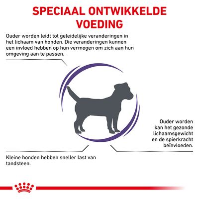Speciaal ontwikkelde voeding. Ouder worden leidt tot veranderingen bij honden, kan gewicht en spierkracht beïnvloeden. Kleine honden hebben sneller last van tandsteen.