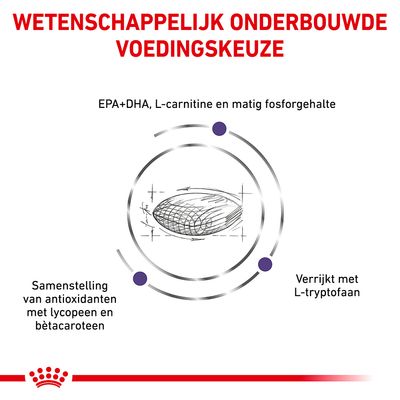 Wetenschappelijk onderbouwde voedingskeuze. EPA+DHA, L-carnitine en matig fosforgehalte. Samenstelling van antioxidanten met lycopeen en bètacaroteen. Verrijkt met L-tryptofaan.