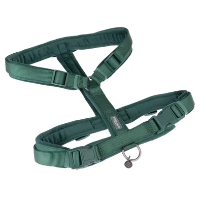 Harnais Nomad Tales Blush, émeraude pour chien  - taille M : tour de poitrail 53 - 71 cm, l 20 mm 