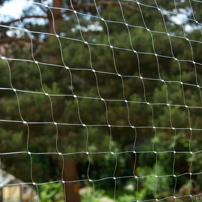 Rete protettiva trasparente con struttura a maglia quadrata, adatta per esterni. Sullo sfondo alberi e paesaggio da giardino.