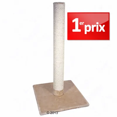 Arbre à chat avec poteau en sisal sur base carrée beige, texte visible : 1er prix sur fond rouge.