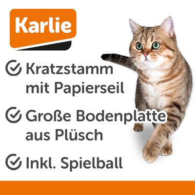 Graue Kratzkugel aus Sisal mit Plüschball an elastischem Band, auf runder Plüschbasis.