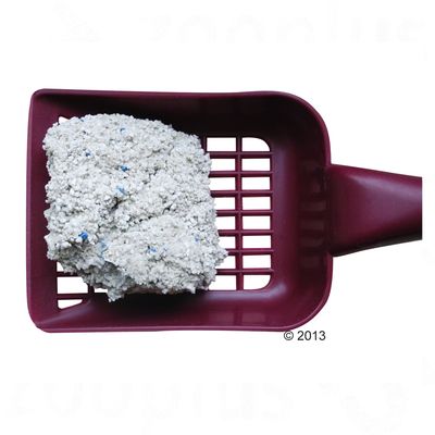 Paakkuuntunutta kissanhiekkaa muovisessa punaisessa hiekkalapiassa, jossa ritiläpohja. Näkyvissä vaaleaa hiekkaa ja sinisiä rakeita.