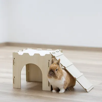 Lapin assis à côté d'une maisonnette en bois clair avec rampe et toit plat, posée sur un sol intérieur clair.