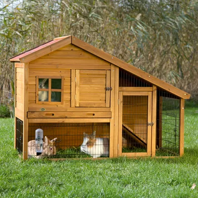 Conejera de madera con techo inclinado, dos puertas, ventana y zona exterior cercada. Dos conejos visibles en el interior y bebedero de agua fijado a la reja. Conejera de madera con techo inclinado, dos puertas, ventana y zona exterior cercada. Dos conejos visibles en el interior y bebedero de agua fijado a la reja.