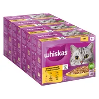 Säästöpakkaus: Whiskas 1+ Adult Pouches 48 x 85 g - siipikarjavalikoima hyytelössä