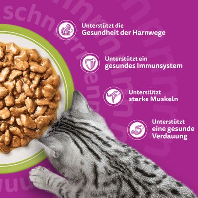 Megapack Whiskas Senior Frischebeutel 24 x 85 g