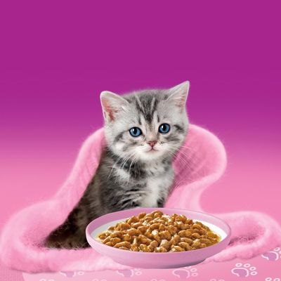 Megapakiet Whiskas Junior w saszetkach, 48 x 85 g