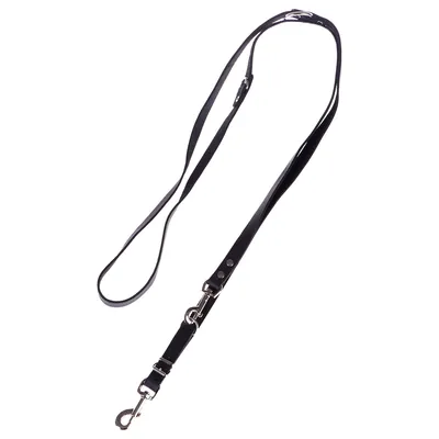 Laisse réglable et rivetée pour chien Heim, noir - L 240 x 2 cm