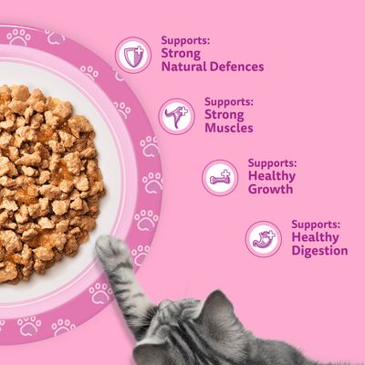 Whiskas Kitten Pouches in Jelly