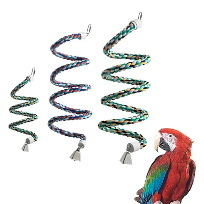 Trois perchoirs spirales en corde multicolore avec clochettes métalliques, tailles différentes, mousquetons de fixation visibles. Un grand perroquet coloré est posé à droite de l’image.