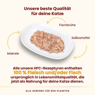 Sparpaket Almo Nature HFC Complete 12 x 70 g