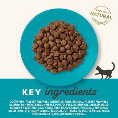 Applaws Ocean Fish with Salmon Adult Cat suché krmivo, 350g. Minimálně 60 % živočišných bílkovin, bez obilovin, hypoalergenní s prebiotiky, z přírodních surovin s vitaminy a minerály.