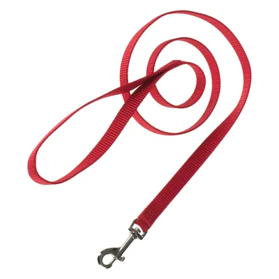 Rote Hundeleine aus Nylon mit Metallkarabinerhaken, geeignet für Spaziergänge und Training. Rote Hundeleine aus Nylon mit Metallkarabinerhaken, geeignet für Spaziergänge und Training.
