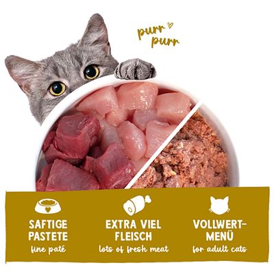Saftige Pastete, extra viel Fleisch, Vollwert-Menü für ausgewachsene Katzen. Abbildung von rohem und verarbeitetem Fleisch.