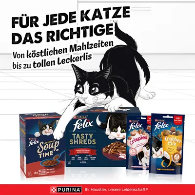 Für jede Katze das Richtige: Von köstlichen Mahlzeiten bis zu tollen Leckerlis. Purina Felix Soup Time, Tasty Shreds, Crispies und Knabber Mix abgebildet.