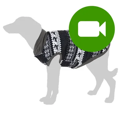 Przycisk odtwarzania filmu. Kliknij tutaj, aby obejrzeć wideo prezentujące ubranie dla psa z czarno-białym wzorem. Przycisk odtwarzania filmu. Kliknij tutaj, aby obejrzeć wideo prezentujące ubranie dla psa z czarno-białym wzorem.
