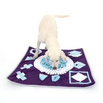 Perro juega con una alfombra olfativa lila que contiene varios compartimentos y elementos de tela en azul y blanco.