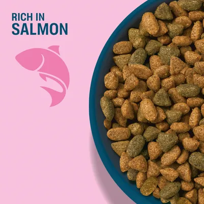 Bowl with brown and green dry food, Text: Rich in Salmon, next to it a fish symbol. Bowl with brown and green dry food, Text: Rich in Salmon, next to it a fish symbol.