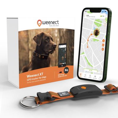 Weenect Pet GPS Tracker XT pro psy