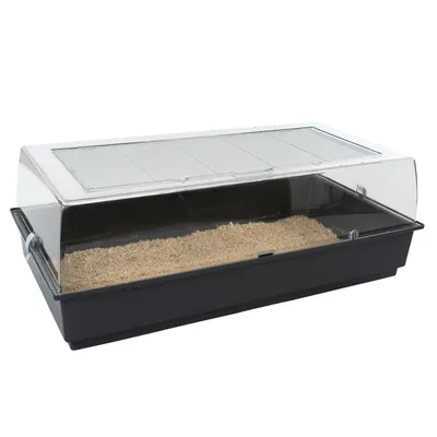 Terrarium rectangulaire en plastique noir avec couvercle transparent et grille d’aération, fond recouvert de litière de copeaux de bois visible.