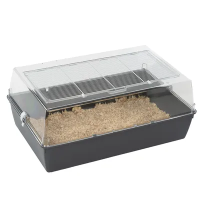 Small animal cage with transparent lid, grid opening and bedding inside. Rectangular shape, suitable for small animals.