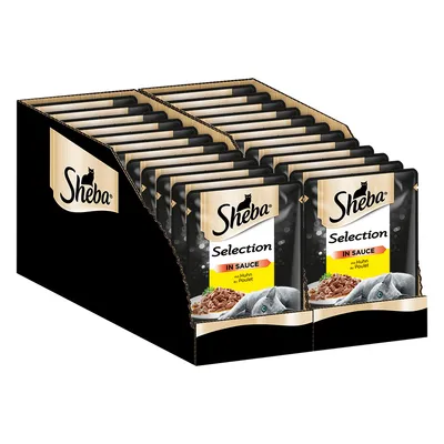 Boîte de sachets Sheba Selection in Sauce, visible texte : « mit Huhn » et « Poulet », emballage noir avec image de chat gris et morceaux en sauce sur le devant.
