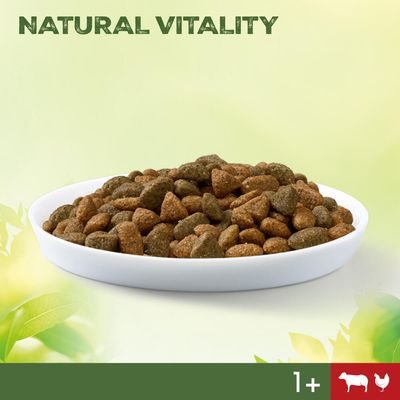 Perfect Fit Natural Vitality Adult 1+ hovězí a kuřecí