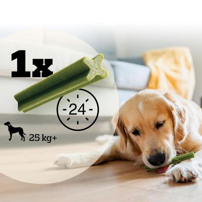 Conseil d’alimentation : 1 bâtonnet par jour pour chien de 25 kg et plus, indication 24 heures, image d’un chien mâchant un bâtonnet vert.