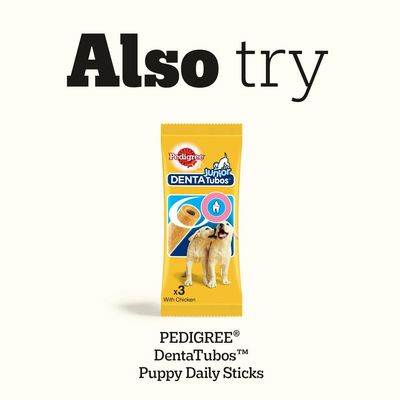 PEDIGREE Junior DentaTubos x3 With Chicken. Puppy Daily Sticks. Product image featuring two dogs on the packaging.