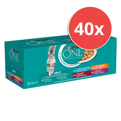 Purina ONE Adult Katzenfutter, 40x85g Packung mit verschiedenen Geschmacksrichtungen. Unterstützt sichtbare Gesundheit für heute und morgen.
