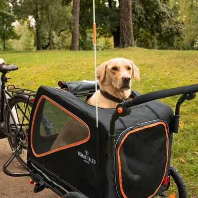 Nomad Tales Fahrradanhänger mit Netzfenstern und orangefarbenen Akzenten, Hund sitzt darin. Anhänger am Fahrrad befestigt, geeignet für Outdoor-Aktivitäten.