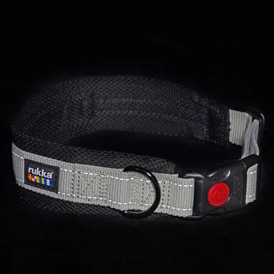Graues Hundehalsband mit schwarzem Innenfutter, rotem Verschlussknopf und Metallring. Marke: rukka.