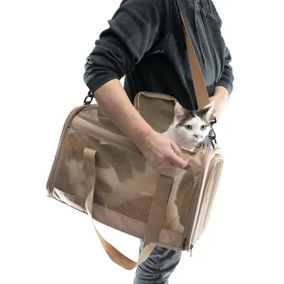 Prepravná taška so sieťovanými oknami, béžová, nesená osobou. Mačka pozerá z tašky von.