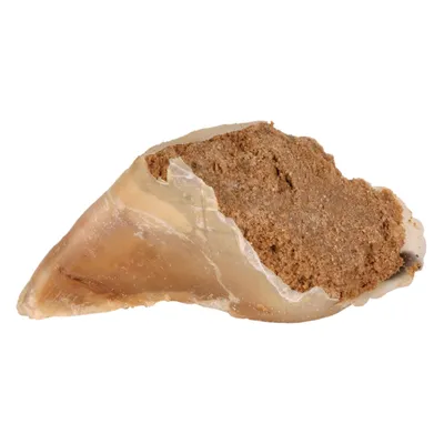 Trixie Kauwhoef met Vleespastei - 5 x 115 g