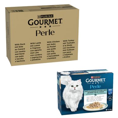 Weisse Katze frisst Nassfutter von einem Teller. Fokus auf Futter und Essenssituation.