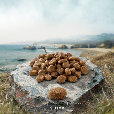 Croquettes pour animaux posées sur une pierre, avec indication de taille : 9–11 mm visible au bas de l’image.