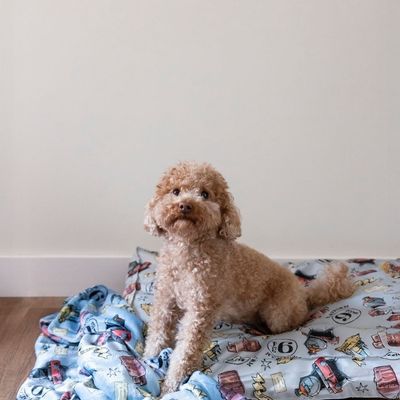 Lichtblauwe deken met Harry Potter-motieven, waaronder trein, bagagestukken, Hogwarts en symbolen zoals '9¾' en '16'.